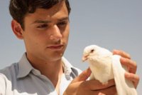20141202_The Dove Flyer.jpg